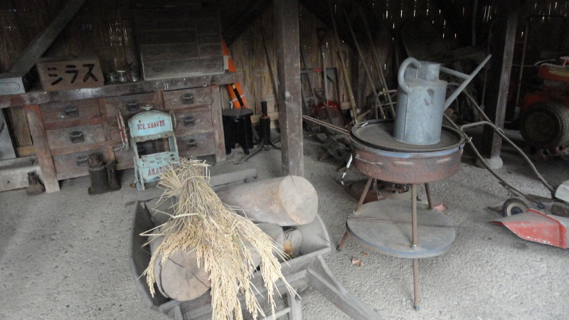 img0027.jpg