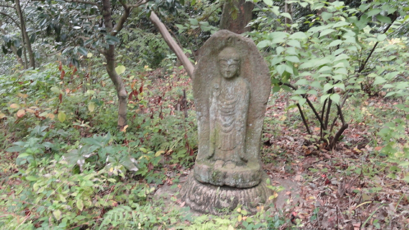 img0037.jpg
