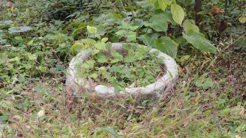 img0038.jpg