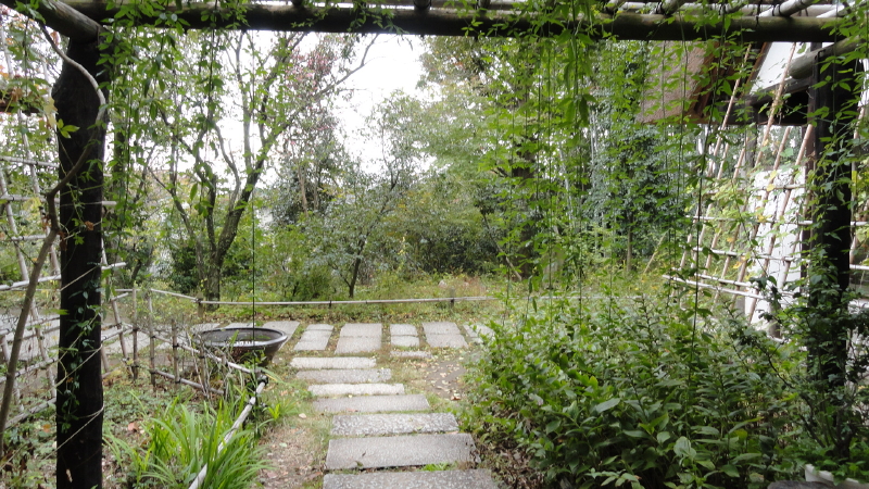 img0045.jpg