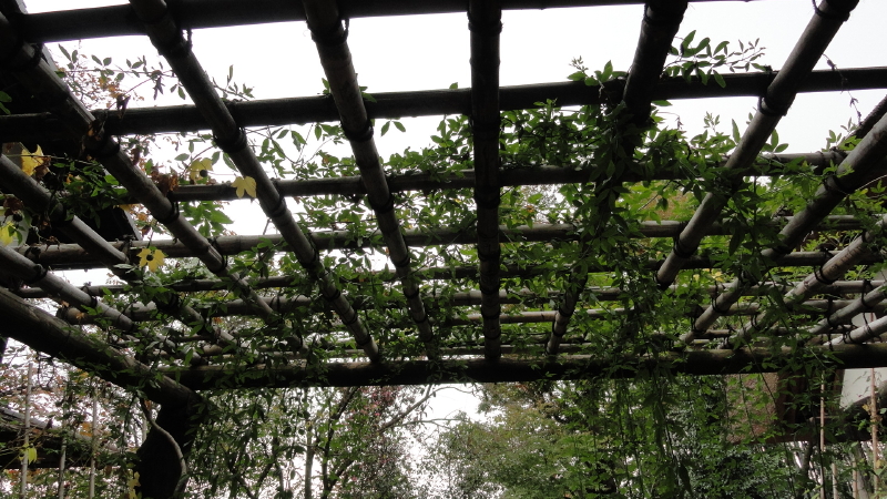 img0047.jpg