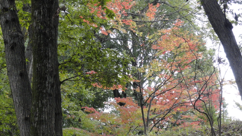 img0054.jpg