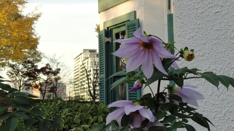 img0077.jpg