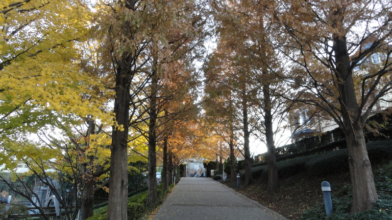 img0082.jpg