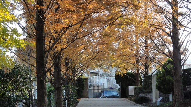 img0085.jpg