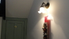 img0010.jpg