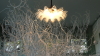 img0036.jpg