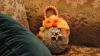img0045.jpg