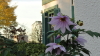 img0077.jpg