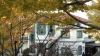 img0086.jpg