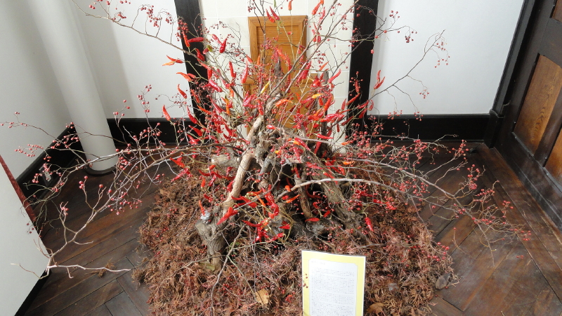 img0028.jpg