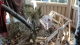 img0017.jpg
