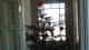 img0066.jpg