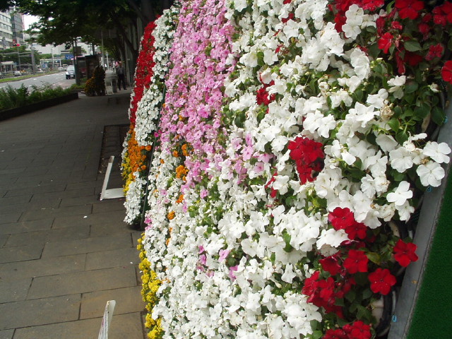 img0027.jpg