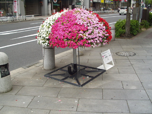 img0028.jpg