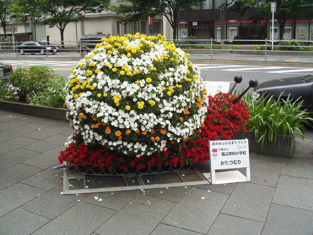 img0029.jpg
