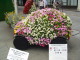 img0026.jpg