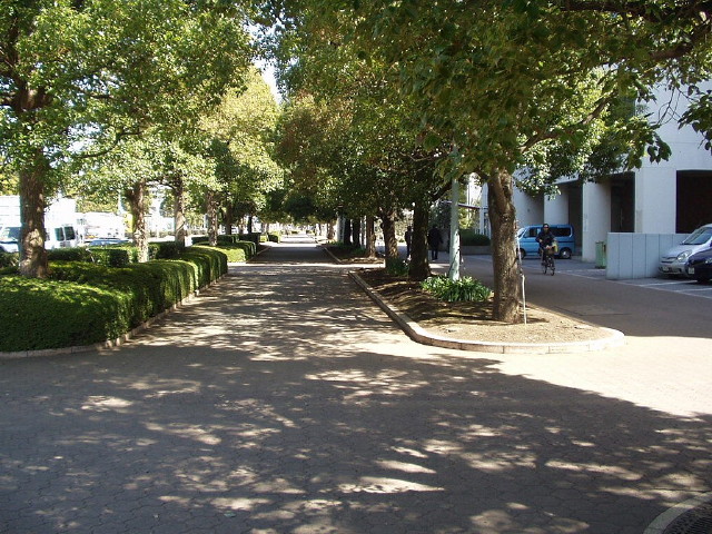 img0006.jpg