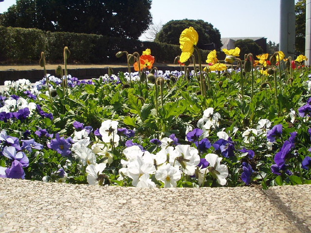 img0008.jpg