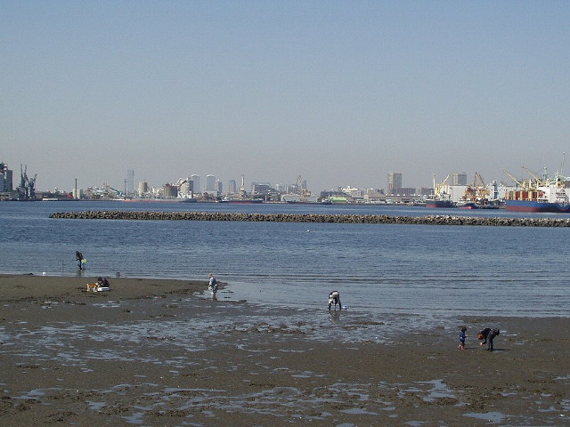 img0046.jpg