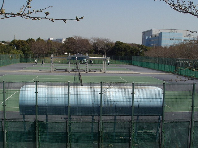 img0050.jpg