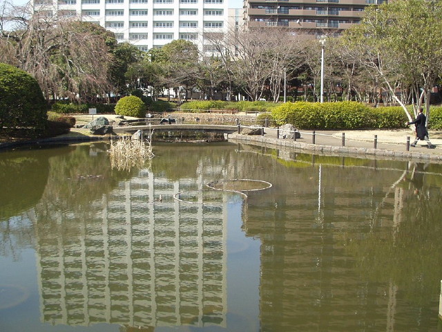 img0053.jpg