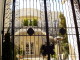 img0004.jpg