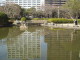 img0053.jpg