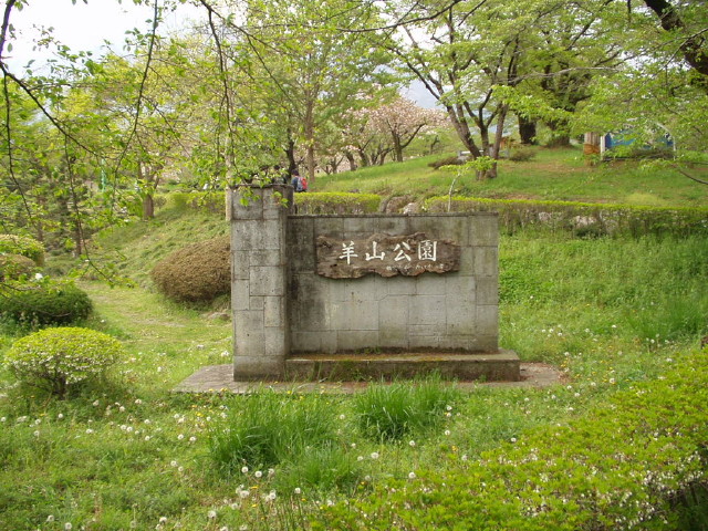 img0003.jpg