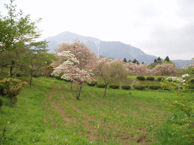 img0005.jpg