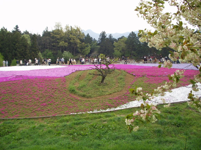 img0007.jpg
