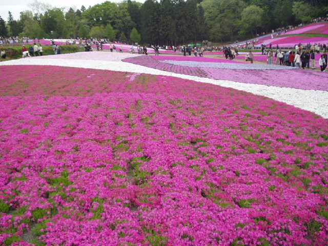 img0010.jpg
