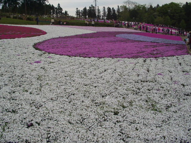 img0012.jpg