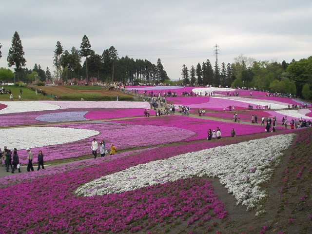 img0014.jpg