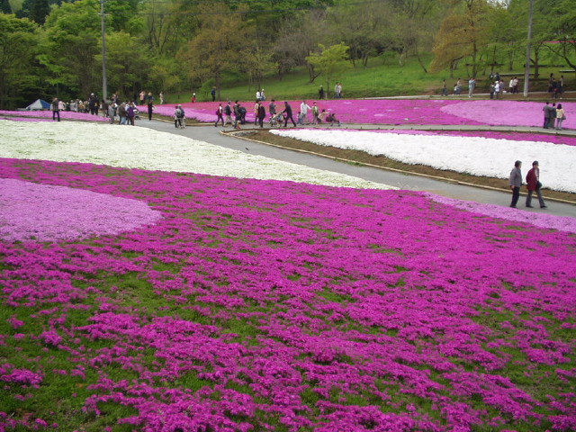 img0015.jpg