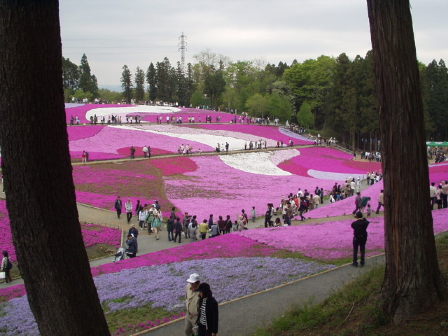 img0016.jpg