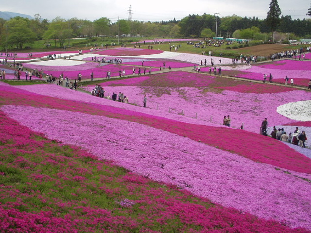 img0019.jpg
