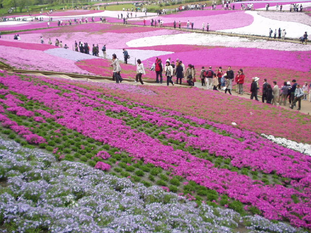 img0020.jpg