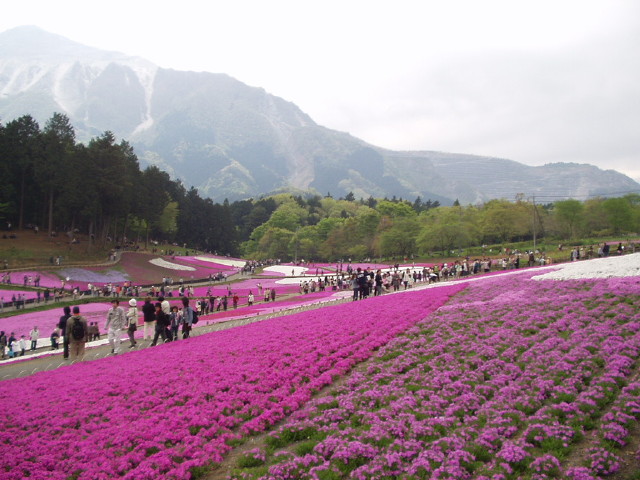 img0021.jpg