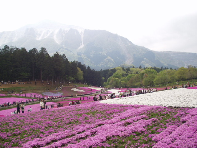 img0022.jpg
