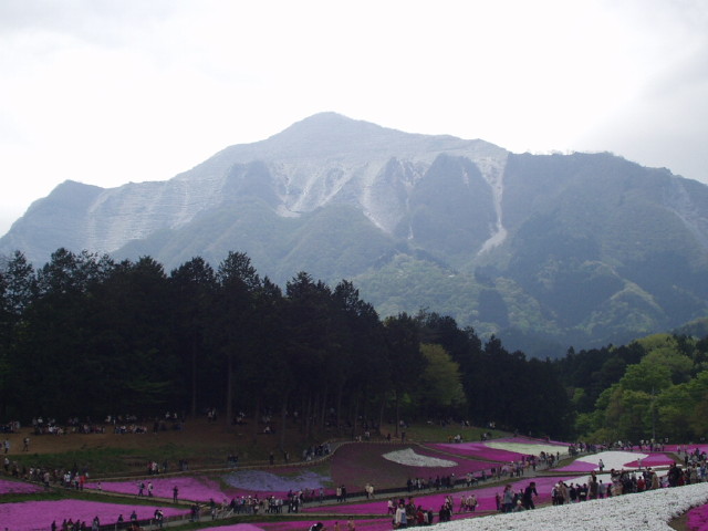 img0023.jpg