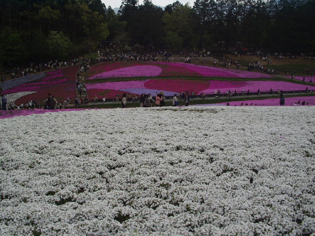 img0024.jpg