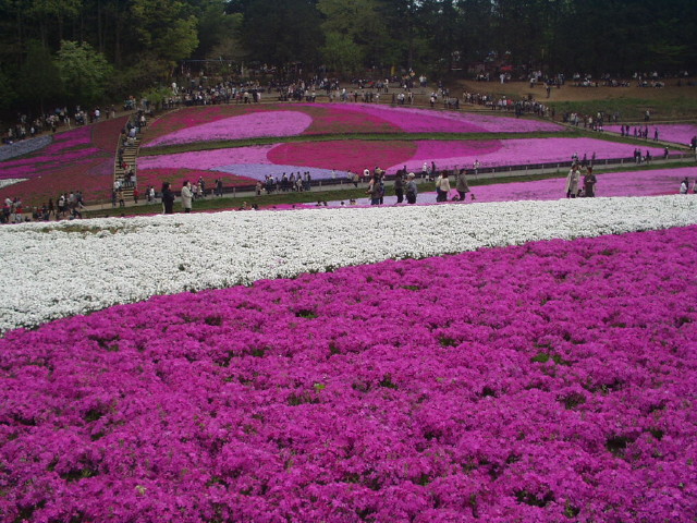 img0025.jpg