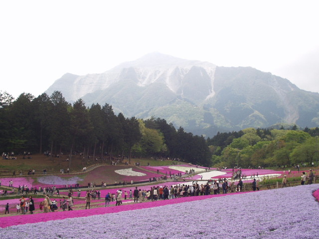 img0026.jpg
