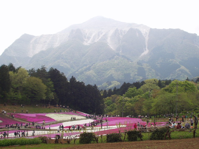 img0027.jpg