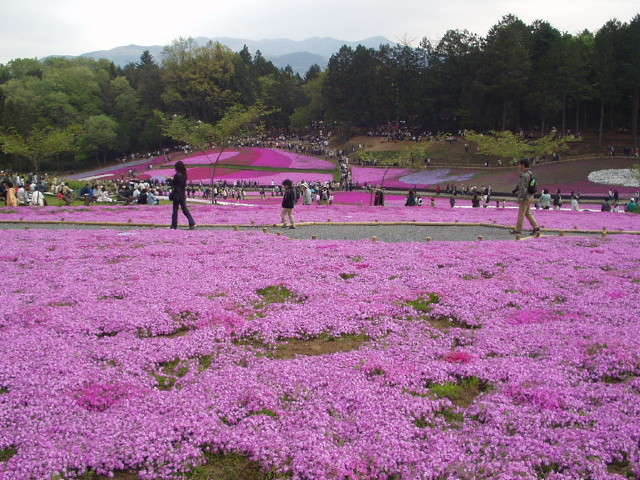 img0028.jpg
