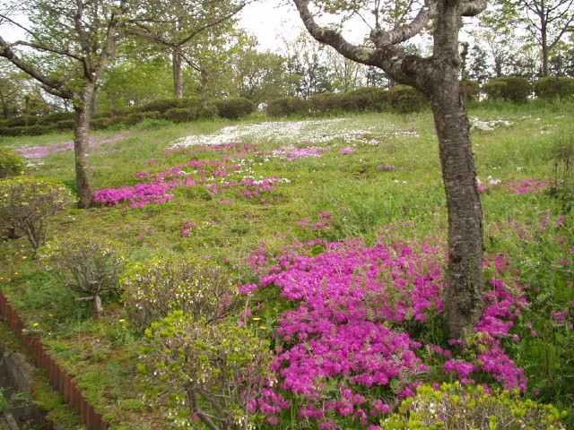 img0032.jpg