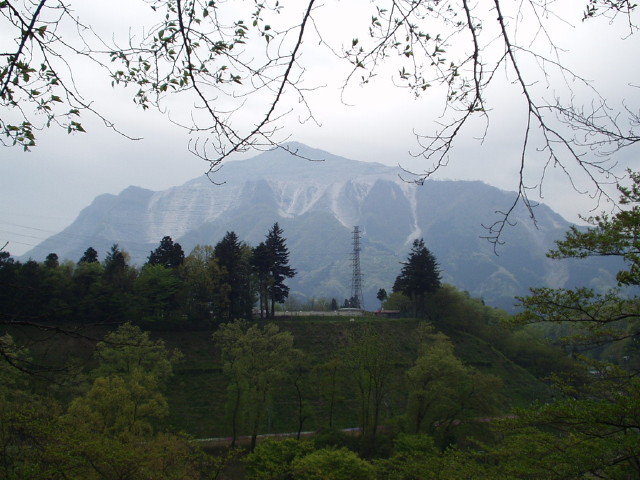 img0040.jpg