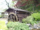 img0001.jpg