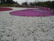 img0012.jpg